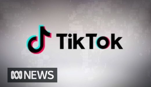 What is TikTok? | ABC News