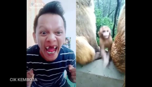 Koleksi tik tok malaysia kelakar pecah perut  2019