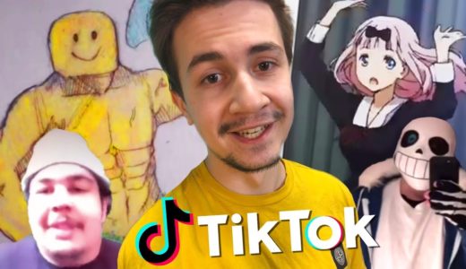 TIKTOK in a NUTSHELL 2