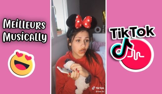 LES MEILLEURS TIKTOK en FRANÇAIS DE 2019 #4 😅😂