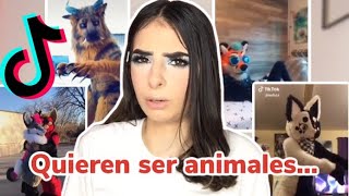 Las personas mas extrañas de TikTok | Los furries