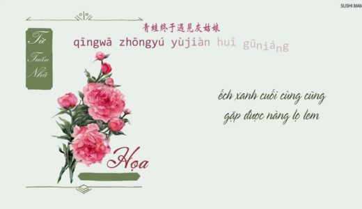 [Vietsub+Kara] Họa | 画 TIKTOK - Từ Tuấn Nhã | 徐俊雅