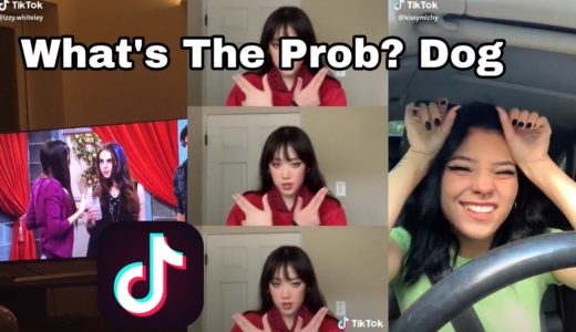 What's The Prob? Dog TikTok Compilation