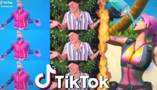 Best Fortnite + TIK TOK Meme Compiation v15