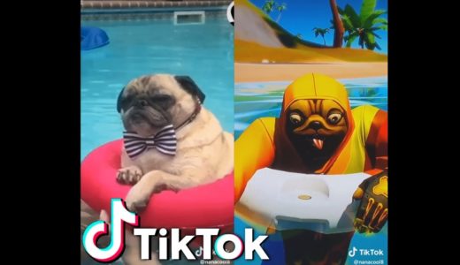 Funniest Fortnite Tik Tok Dank Meme Compilation v14