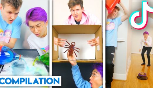 LANKYBOX TIKTOK COMPILATION! (NEW BEST OF FUNNY TIKTOK/VINES 2019)