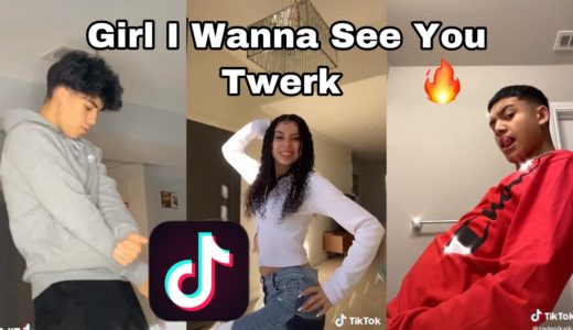 Girl I Wanna See You Twerk TikTok Dance Compilation