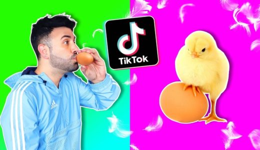 Probamos los LIFE HACKS MÁS VIRALES de TikTok *Asombroso*