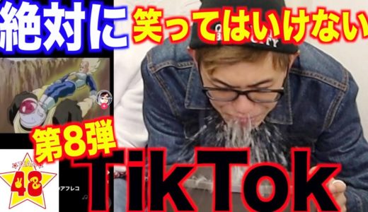 【神回】第8回！絶対に笑ってはいけないTikTok！！