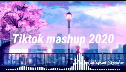 tiktok mashup 2020  (not clean)