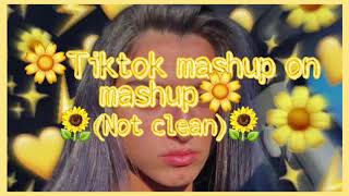 🌼¡Tiktok mashup on mashup!🌼 ~*Not clean~*