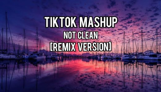 TIKTOK MASHUP *NOT CLEAN* [Remix Version]