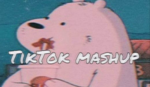 Tik Tok Mashup (NOT CLEAN!!) BY EDU