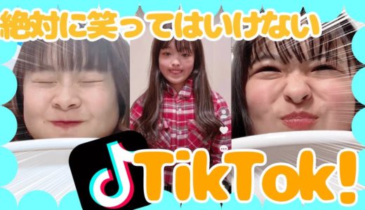 【新ゲーム】絶対に笑ってはいけない！TikTokであっぷっぷ！