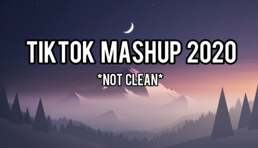 TIKTOK MASHUP 2020 *Not Clean*