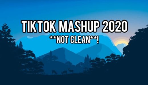 TIKTOK MASHUP 2020 **Not Clean**!