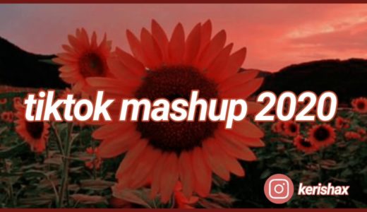 Tiktok mashup 2020 (not clean)