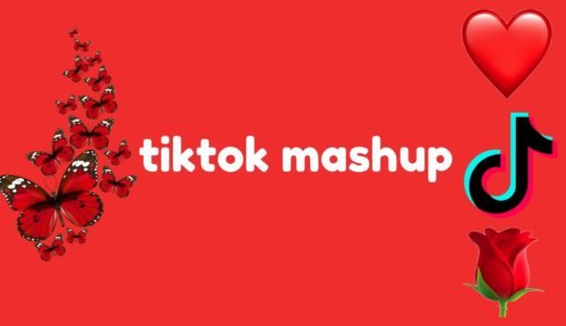 tiktok mashup 2020 (not clean)