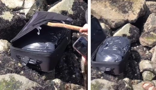 Teenagers on TikTok find suitcase with body parts