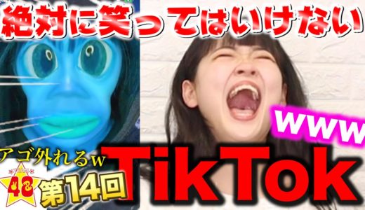 【腹筋崩壊】第14回！絶対に笑ってはいけないTikTok！！