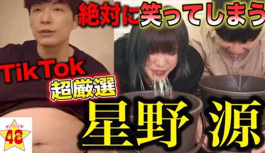 【TikTok】絶対に笑ってはいけない星野源wwwww 【大流行】