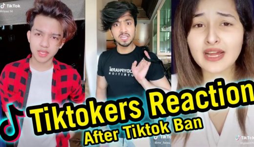 TikTokers Reaction After TikTok Ban 🔥🔥 | TikTokers Vs Indian Government