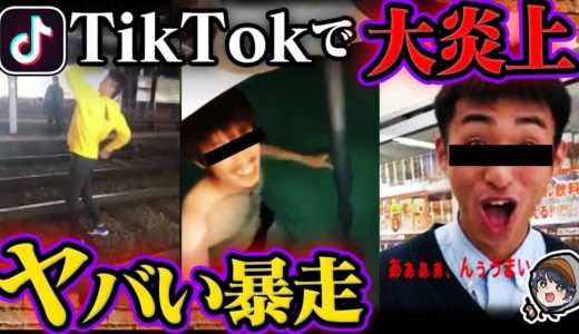 【想像以上】TikTokで炎上したおバカさん達