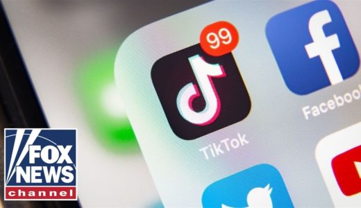 Is TikTok really a danger to Americans? | FOX News Rundown