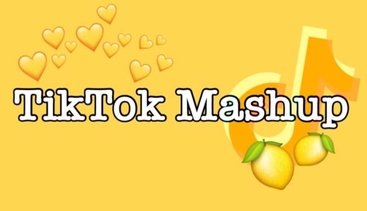 TikTok Mashup 2020 (not clean)