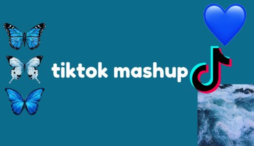 tiktok mashup 2020 (not clean) 🌊