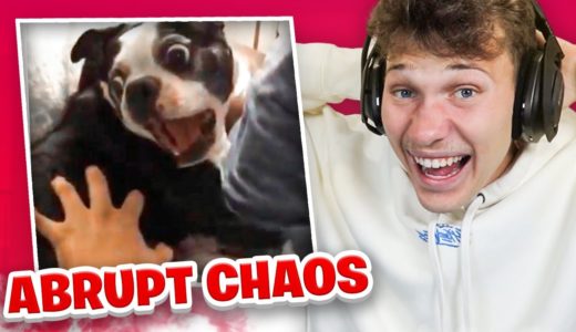 The Most CHAOTIC TIKTOK’S On The Internet!