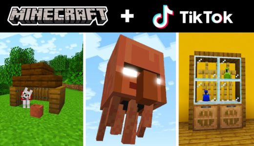 Minecraft Tik Tok Compilation 23