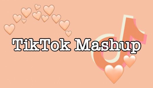 TikTok Mashup 2020 (not clean)