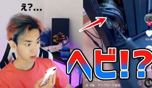 【TikTok】PCの中にヘビいるんだけど…【フォートナイト/Fortnite】