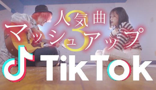 【マッシュアップ】TikTok人気曲マッシュアップ！！Part.3 (TOKU MIX＆RiMy mashup.)【Mashup】