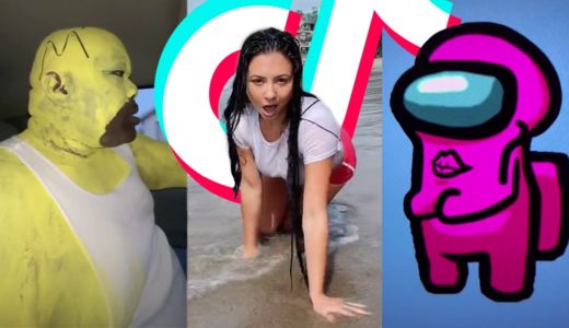 TIK TOK MEMES that made the California wild fire disappear 🔥