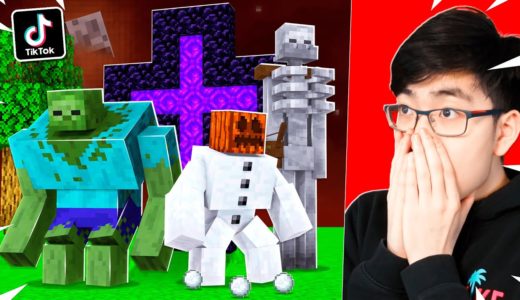 SCARY TIKTOK MINECRAFT HACKS THAT ACTUALLY WORK! [2]