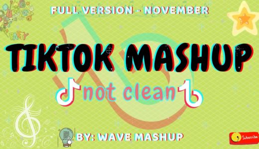 Tiktok Mashup 2020 November (not clean)