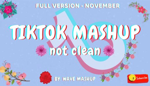 Tiktok Mashup 2020 November 💖not clean💖