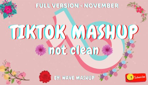 new tiktok mashup 2020 november (not clean)