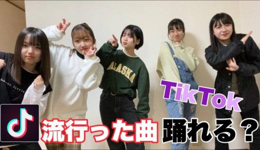 【検証】ハブドリは流行ったTiktok踊れる？