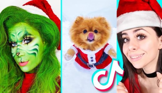 Most Amazing Christmas TikTok Compilation !