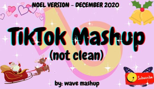 *NEW* Tiktok Mashup December 2020 (not clean)