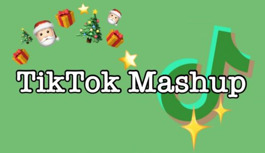 TikTok Mashup 2020 not clean (Holiday Edition)