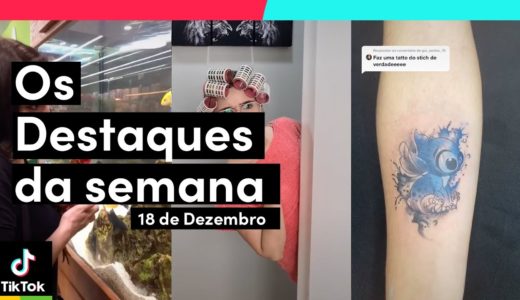 Você não pode perder os DESTAQUES DA SEMANA! Estão demais! | TikTok Brasil