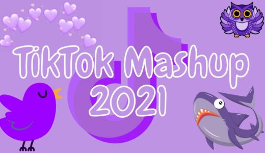 TikTok Mashup 2021 🎨🖼not clean🎡🎭