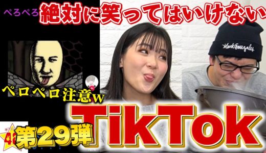 【腹筋崩壊】第29回！絶対に笑ってはいけないTikTok！！