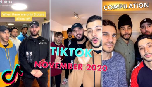 Berywam - TIK TOK Beatbox Compilation November 2020 !