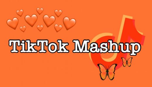 TikTok Mashup 2021 (not clean)