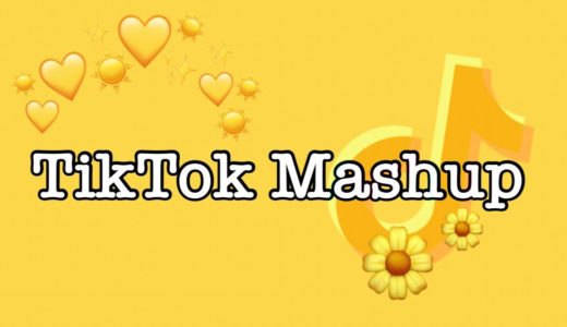 TikTok Mashup 2021 (not clean)